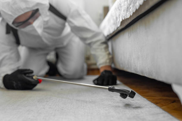 Professional Mosquito Control technician working in Paradise Hills, NM