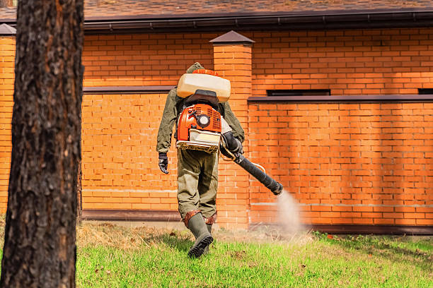 Trusted Mosquito Control service in Paradise Hills, NM - Nex Pest Control